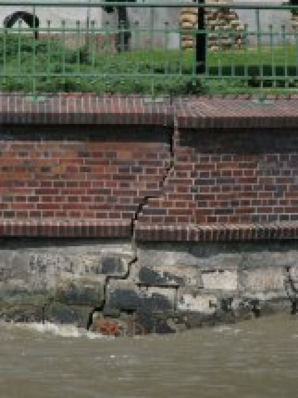 (Fot. Maria Nowicka) (Fot. Maria Nowicka)