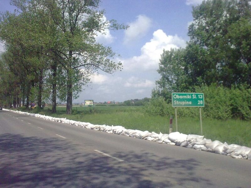 (Fot. Marek) (Fot. Marek)